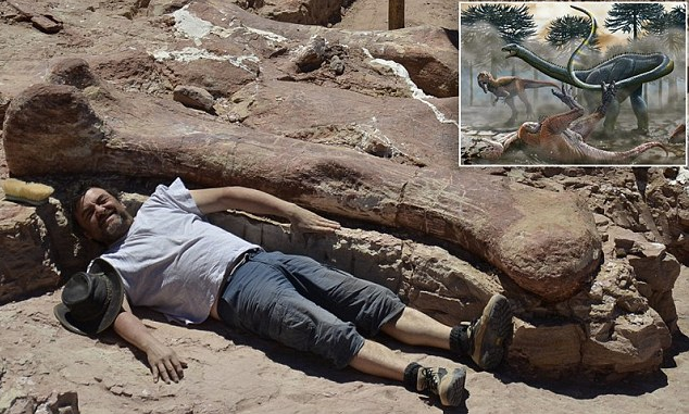  Fosil  Dinosaurus Terbesar  di Dunia DiTemukan di Argentina 